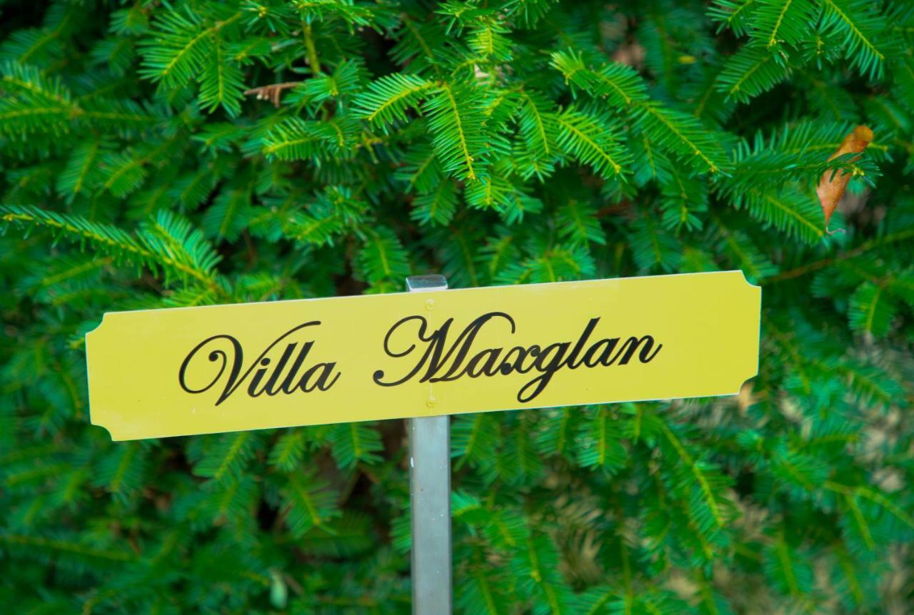 Villa Maxglan Salzburgo Exterior foto