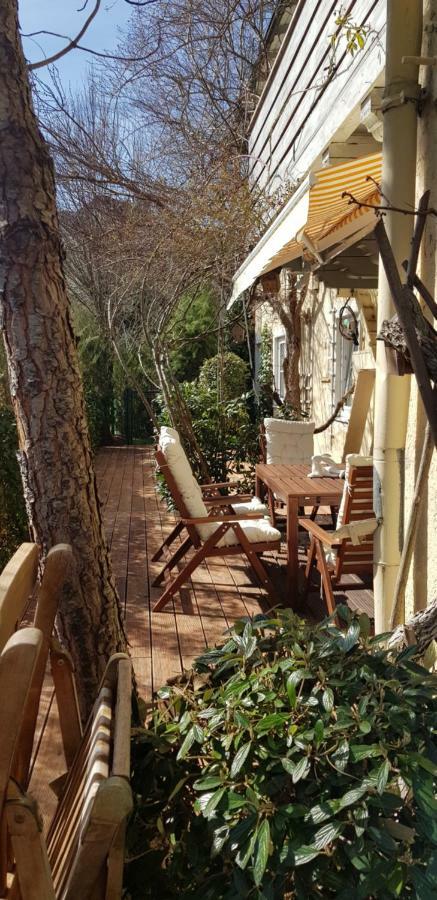 Villa Maxglan Salzburgo Exterior foto